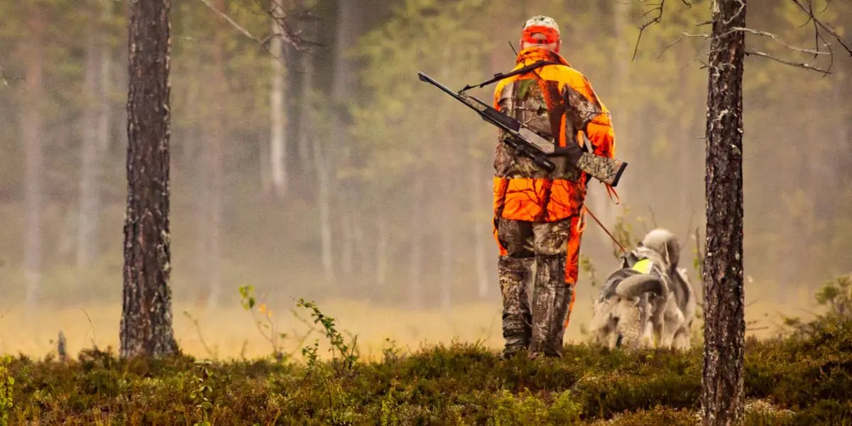 A person with a rifle and their dog walking through the woods.